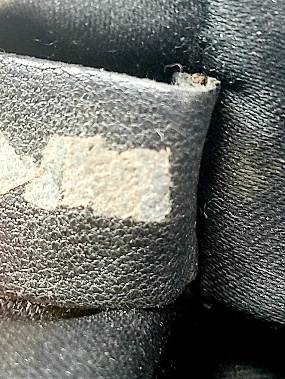 Chanel Canvas Leather Clutch Bag